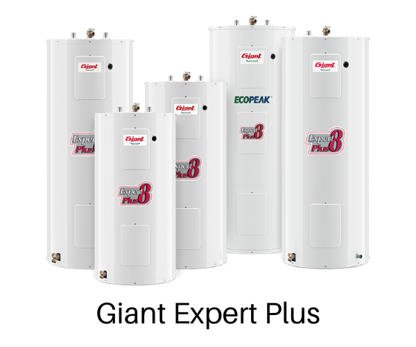 Expert Plus