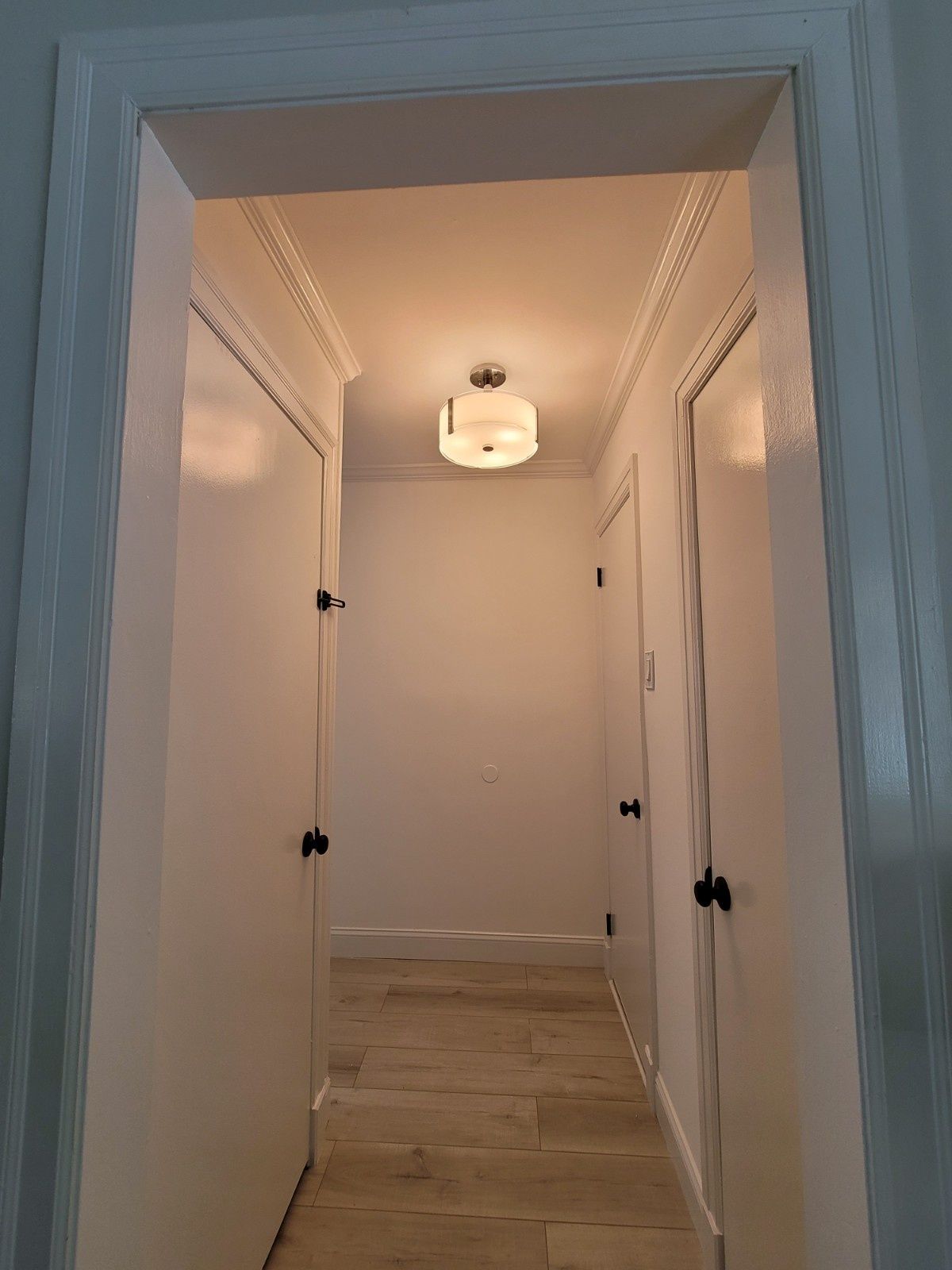 A hallway featuring white walls, light wood-toned flooring, two closed white doors, and a central ceiling light fixture.