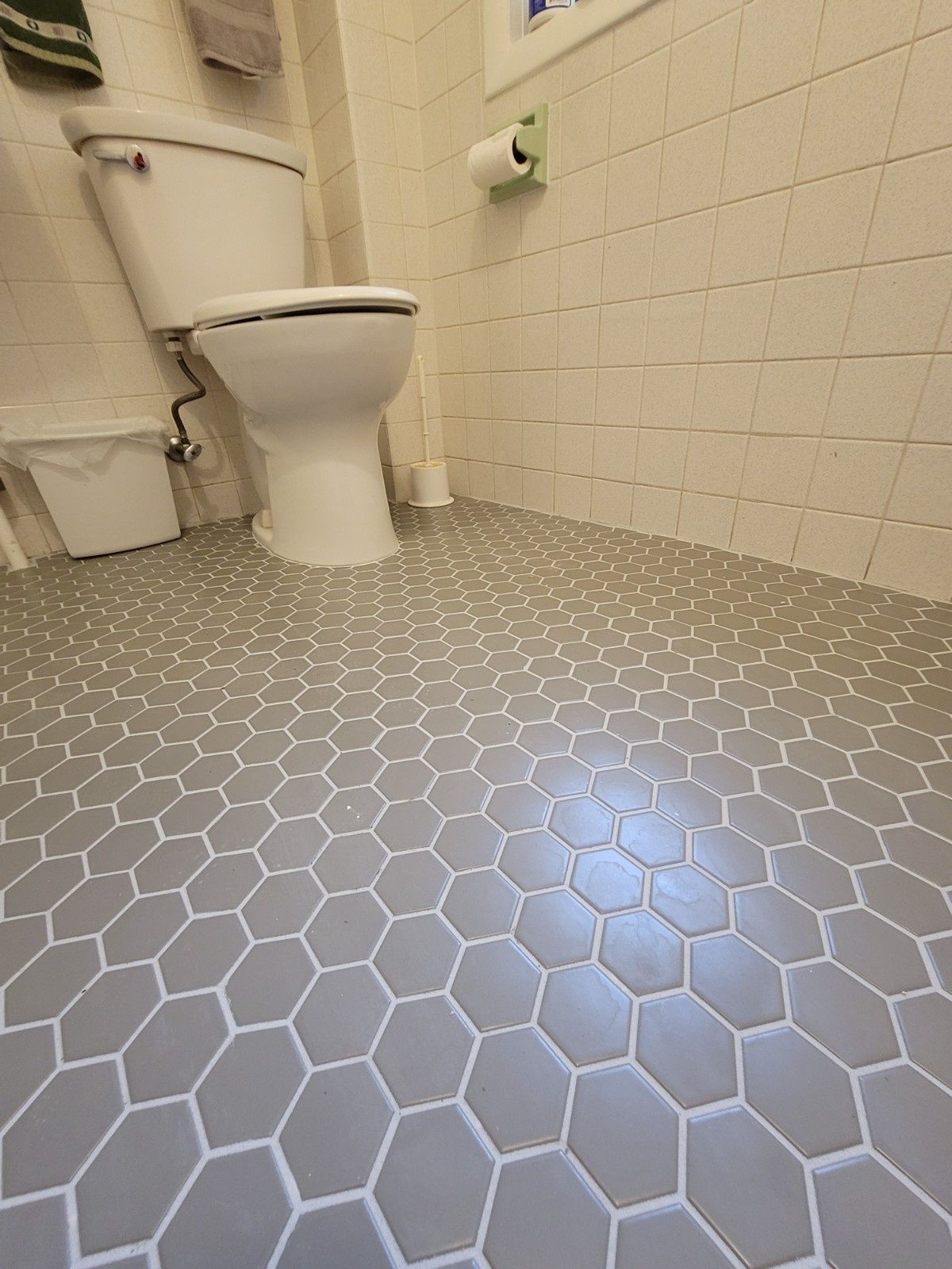 A bathroom features grey hexagonal floor tiles and white wall tiles, with a white toilet and a mounted toilet paper holder.