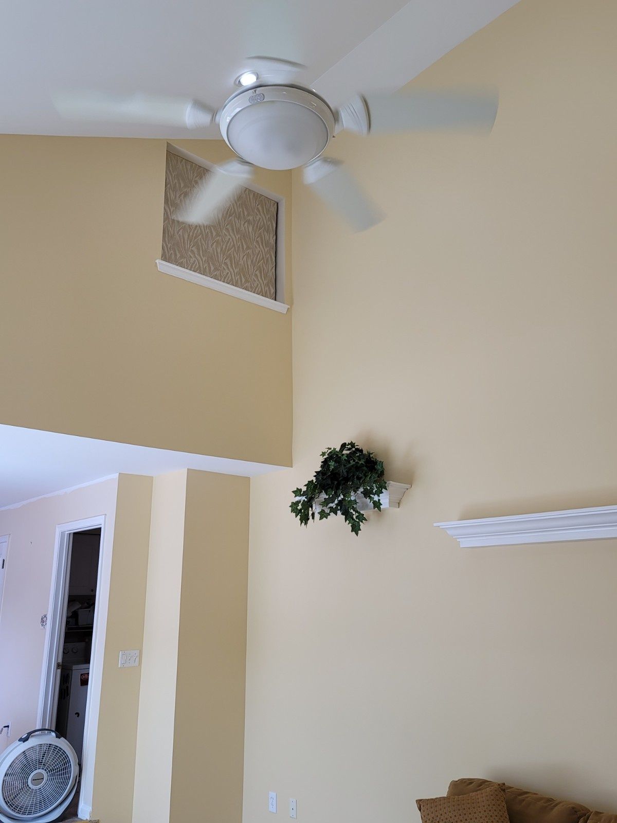 Low-angle view of a room with a ceiling fan, a recessed decorative window with blinds, a wall plant, and a white shelf.