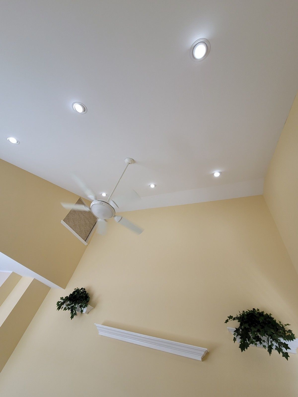 A white ceiling with recessed lights and a ceiling fan, above cream walls with a shelf decorated by two hanging plants.