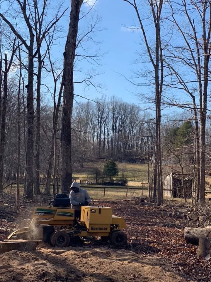 a man is operating a stump grinder in the woods .