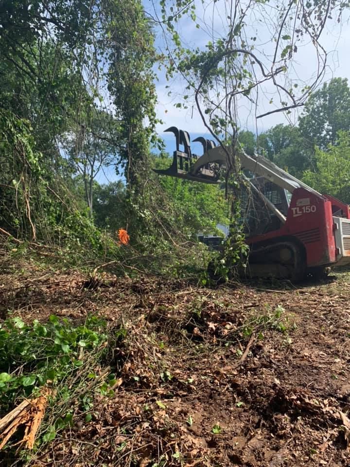 a red bulldozer is cutting down trees in a forest .