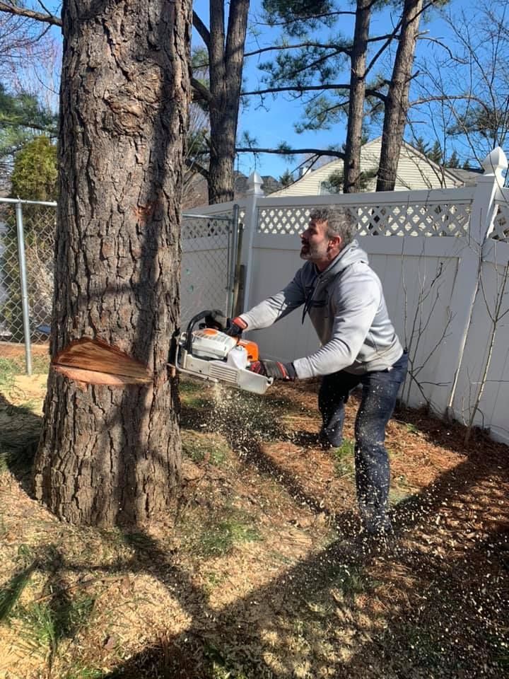 a man is cutting a tree with a chainsaw .
