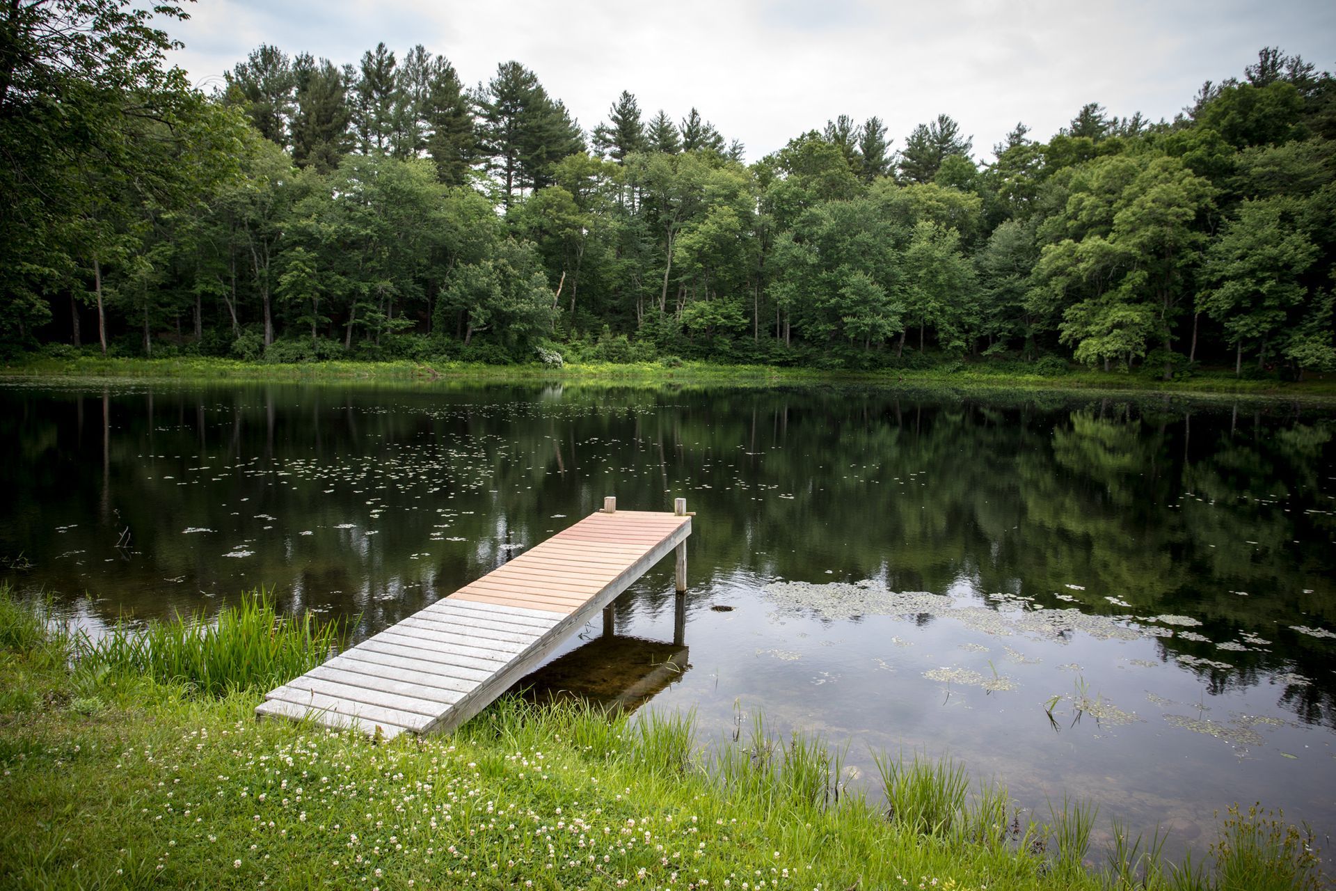 Dock extending into the pond at the Farm at GreatHorse