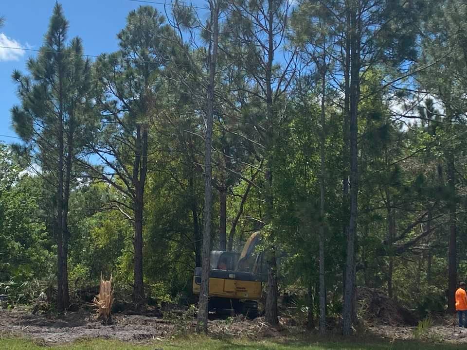 Land clearing services in South Florida — Dade Wrecking Contractors