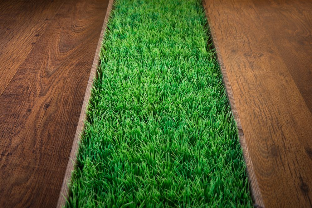 Wooden Floor With a Strip of Artificial Green Grass — Geoff Thompson's Independent Flooring Centre in Taree, NSW Wooden Floor With a Strip of Artificial Green Grass — Geoff Thompson's Independent Flooring Centre in Taree, NSW