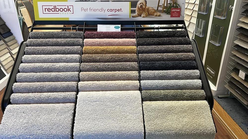 A Pet Friendly Carpet In Port Macquarie