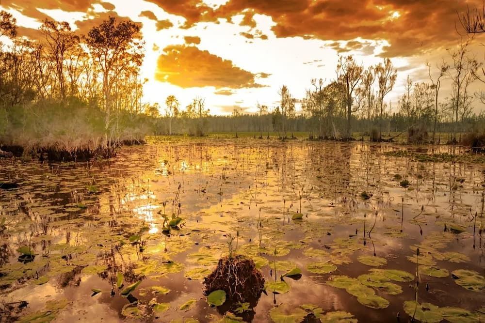 Daylight Reflecting On The Water — Geoff Thompson's Independent Flooring Centre In Taree, NSW