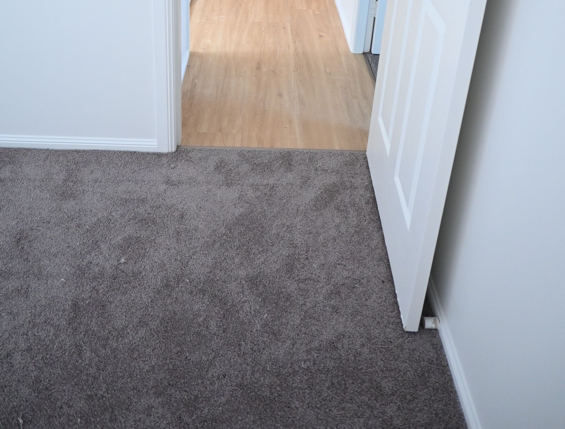Carpet In Port Macquarie For Modern Home Interiors