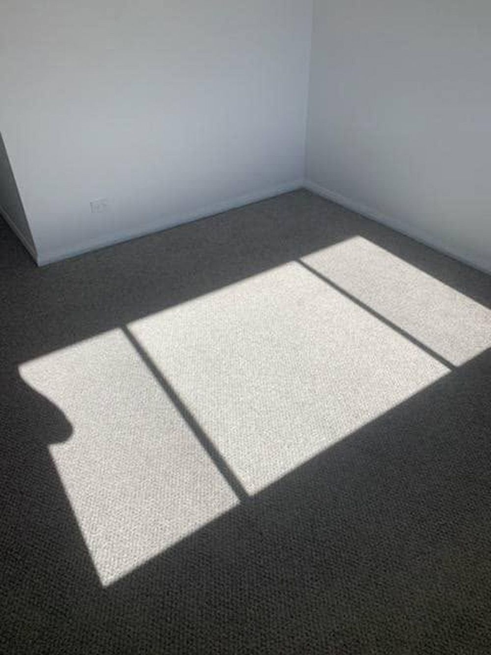 Quality Carpet In An Empty Room In Port Macquarie