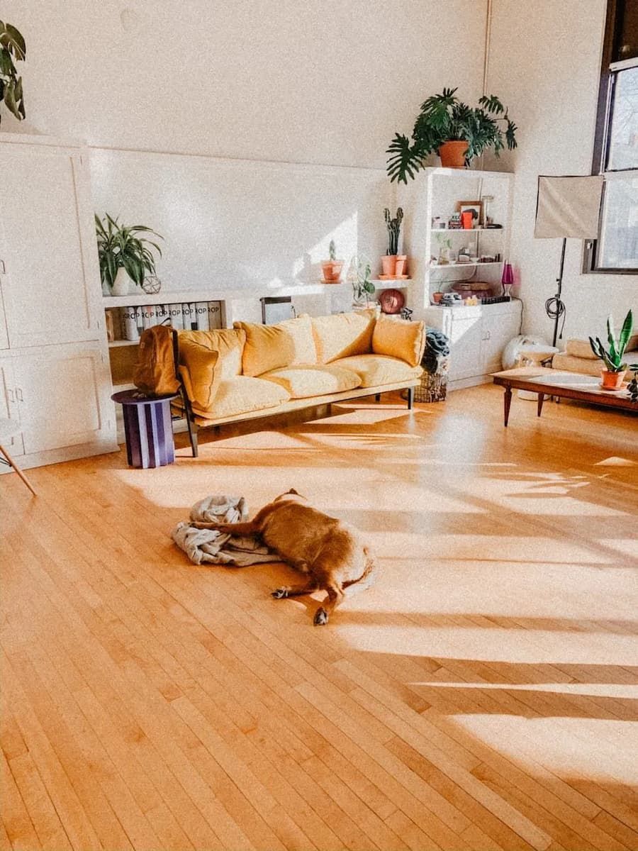 Timber Flooring  in Apartment — Geoff Thompson’s Independent Flooring Centre in South West Rocks, NSW