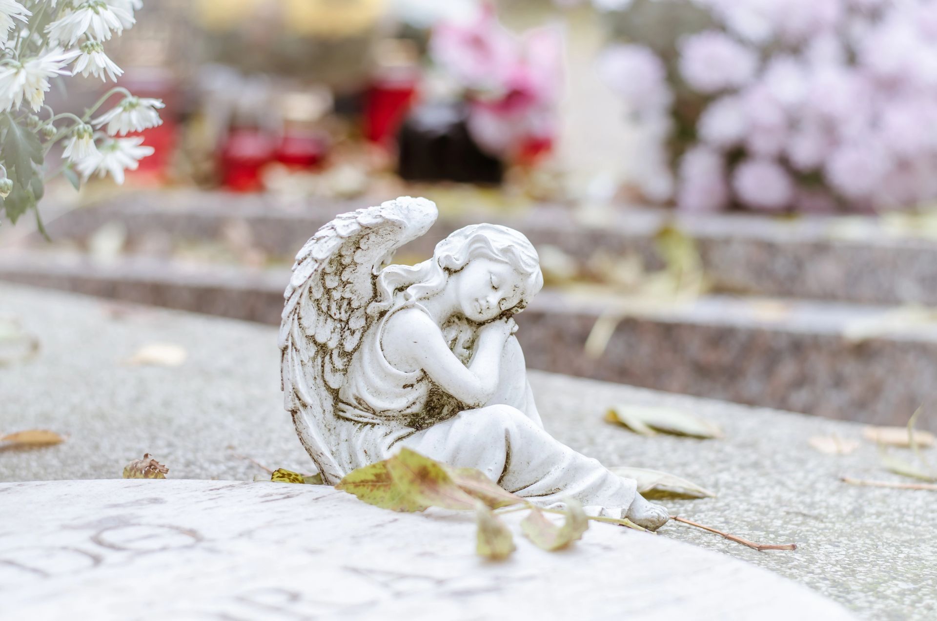 Piccola statua di un angelo bianco seduto su una superficie di pietra con fiori sfocati sullo sfondo.