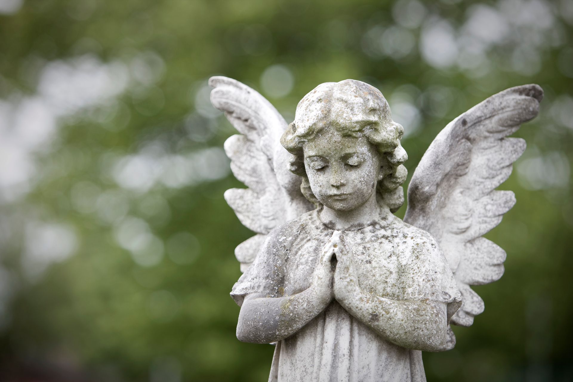 Statua di angelo in pietra con le mani giunte e gli occhi chiusi, su uno sfondo verde sfocato.