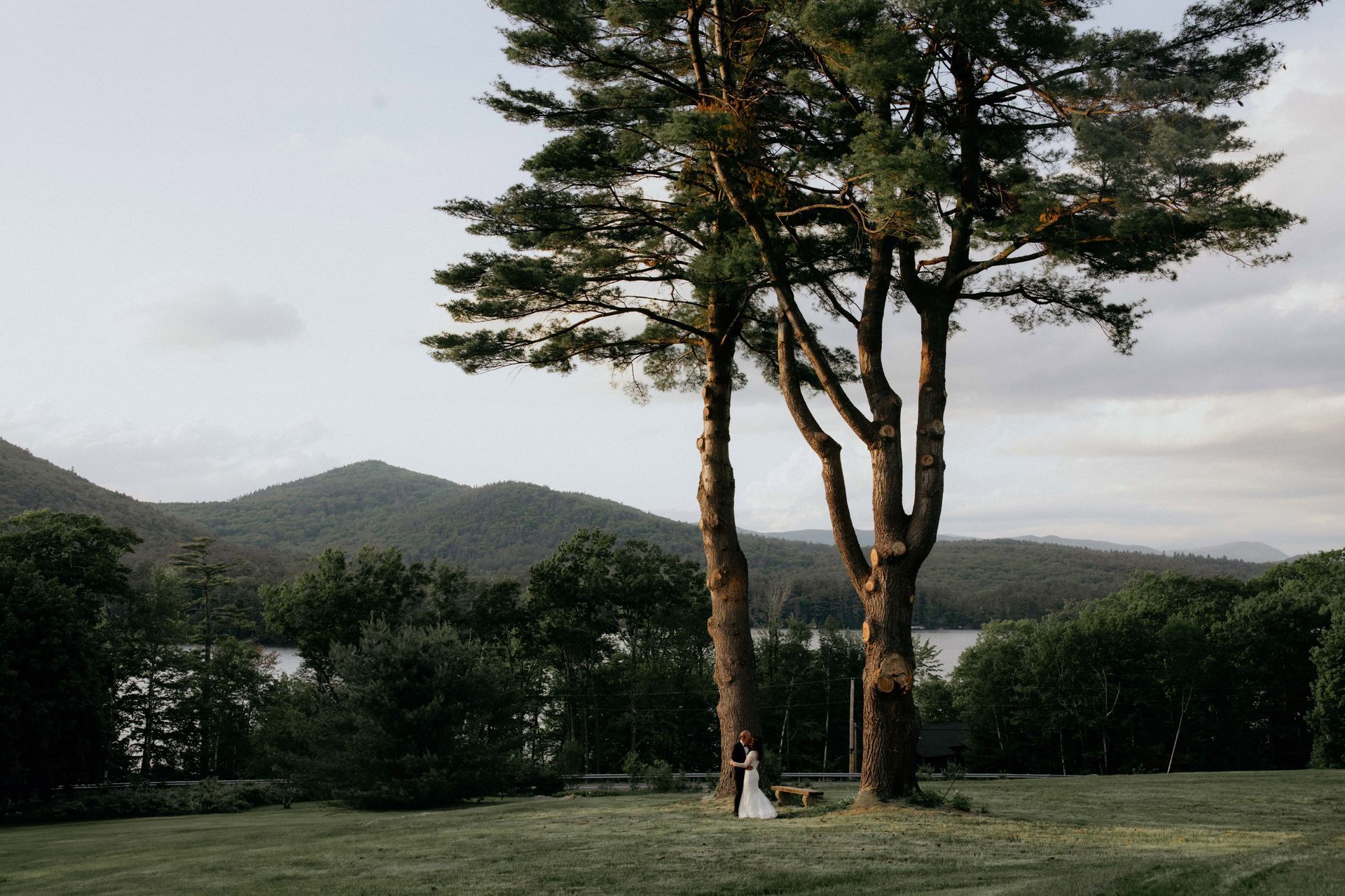 Two tall trees in a grassy field with mountains and cloudy sky in the background