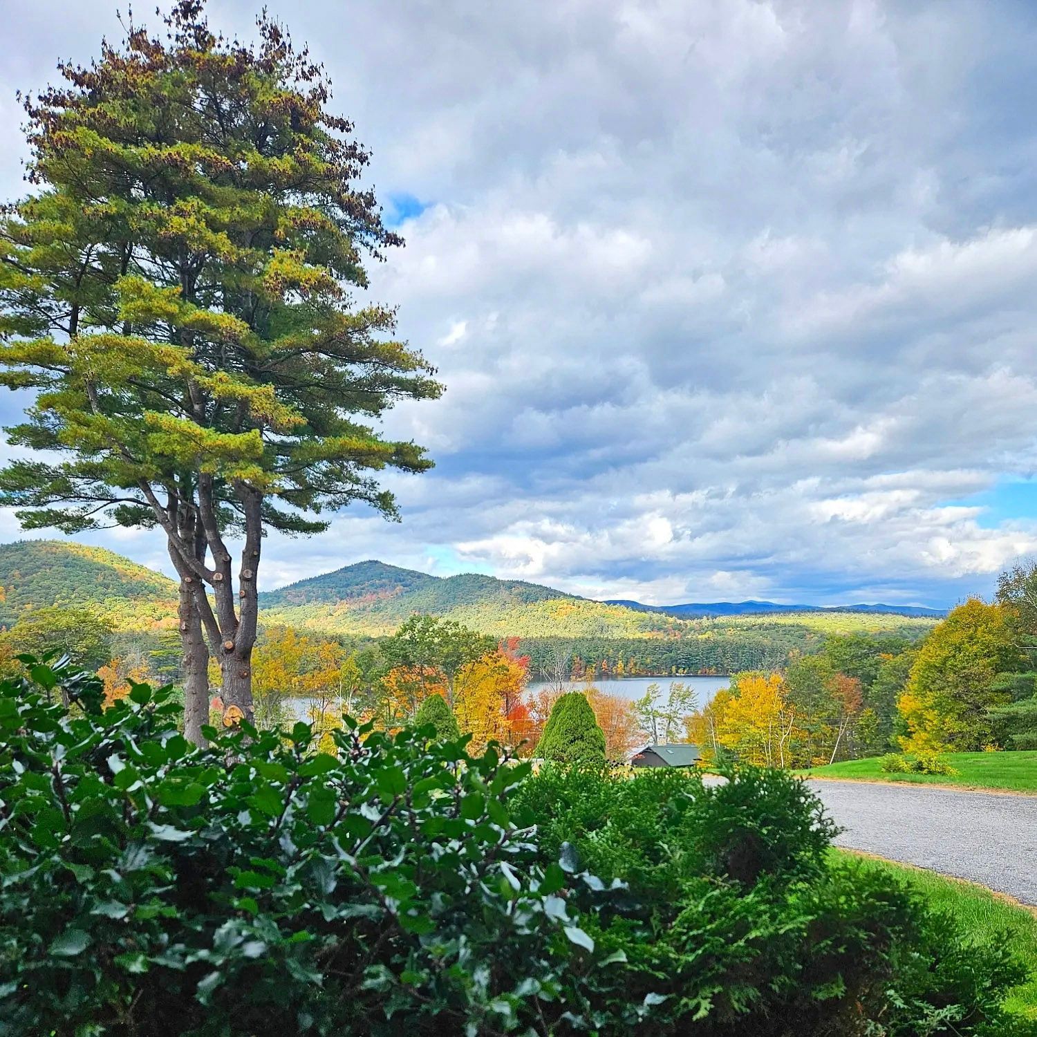 Lush green landscape with a tall tree, winding road, lake, and cloudy sky over distant hills