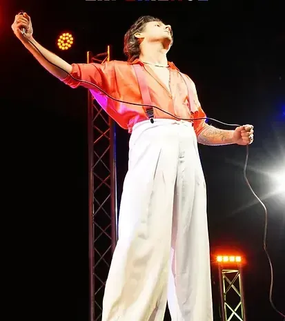 Harry Styles Tribute Act