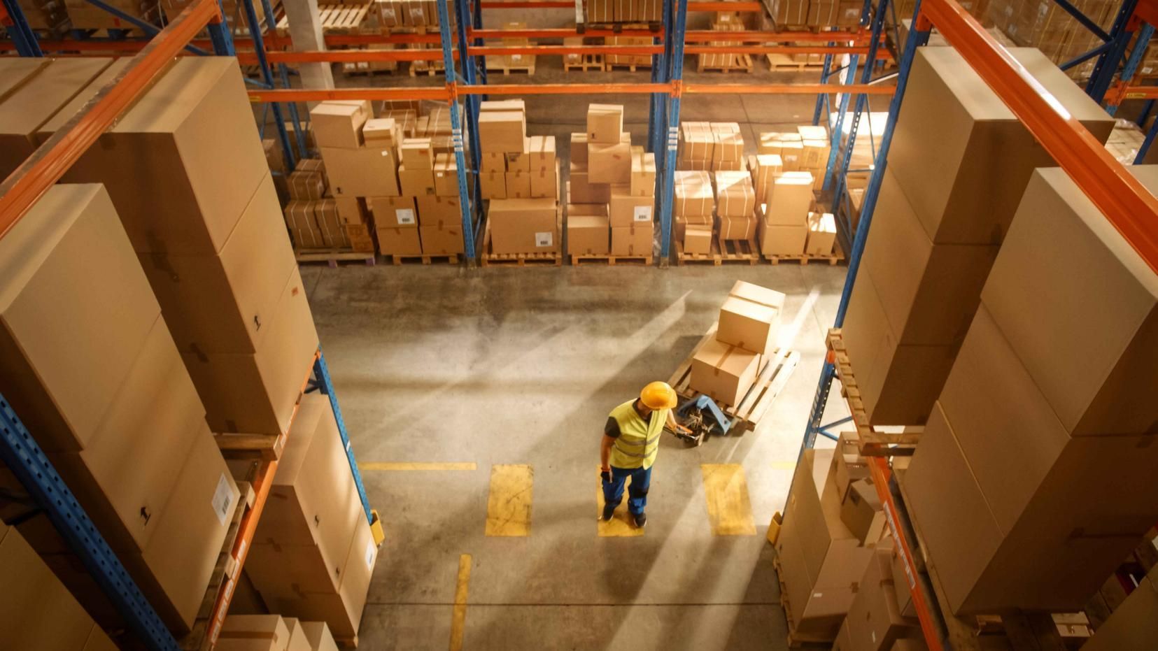 Man is Standing in a Warehouse With Boxes on Shelves — Transforce in Bathurst, NSW