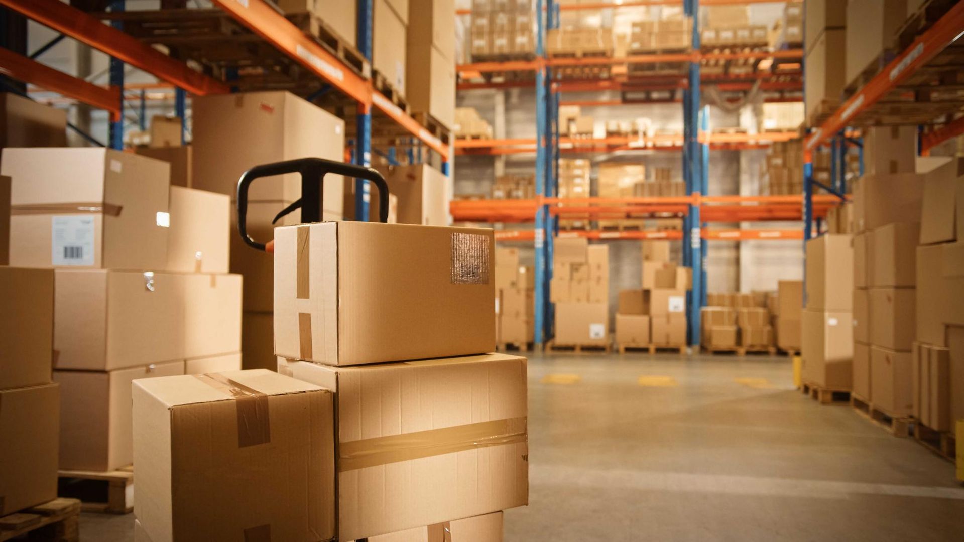Warehouse Filled With Lots of Cardboard Boxes and Shelves — Transforce in Narromine, NSW