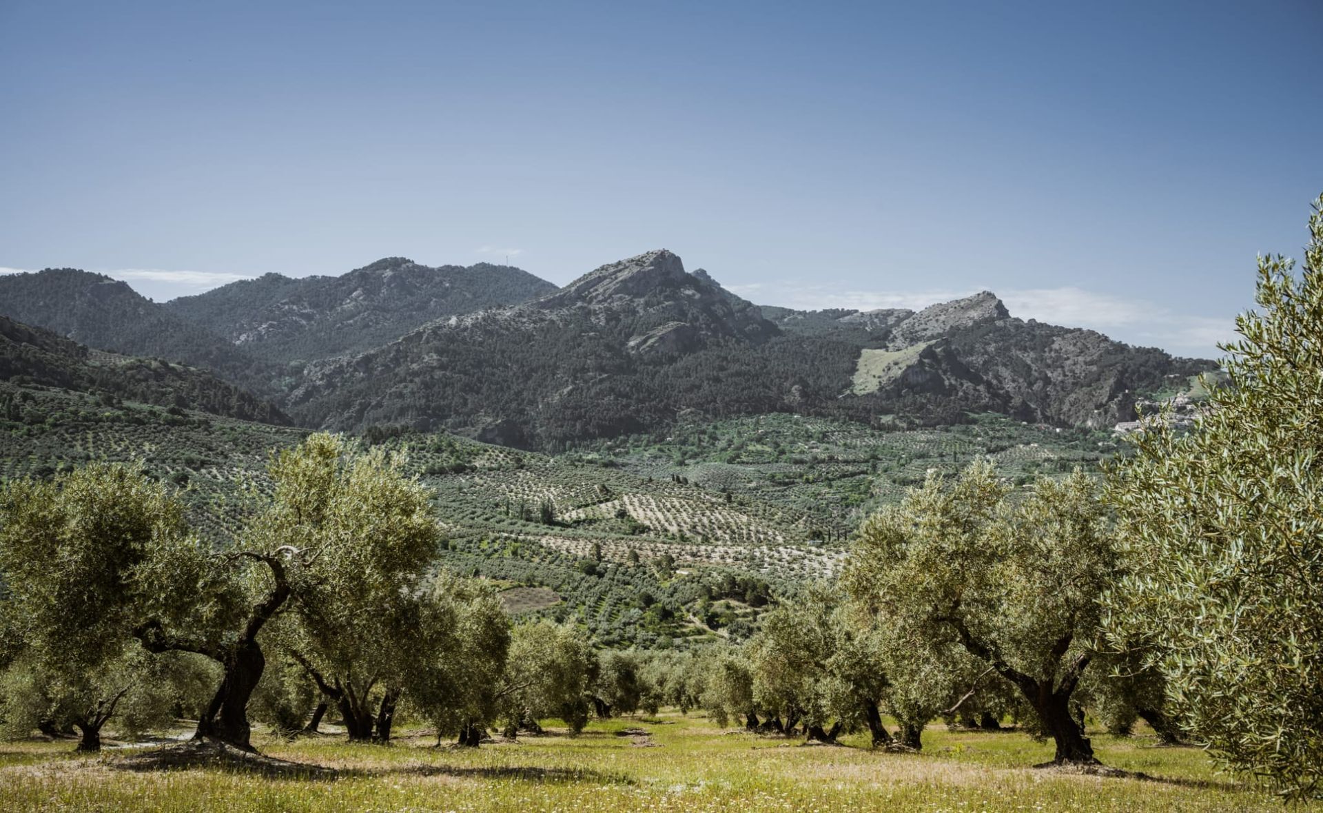 Sierra de cazorla Sensolive