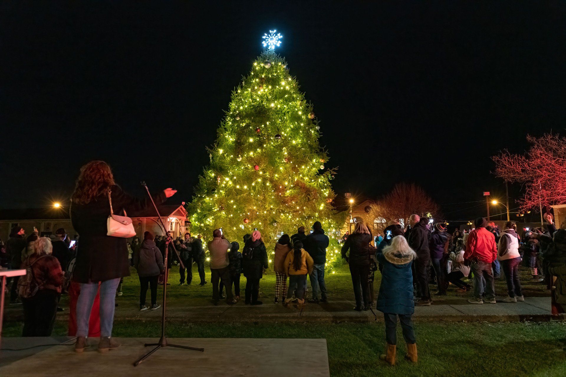 Eastburg Community Alliance, christmas tree