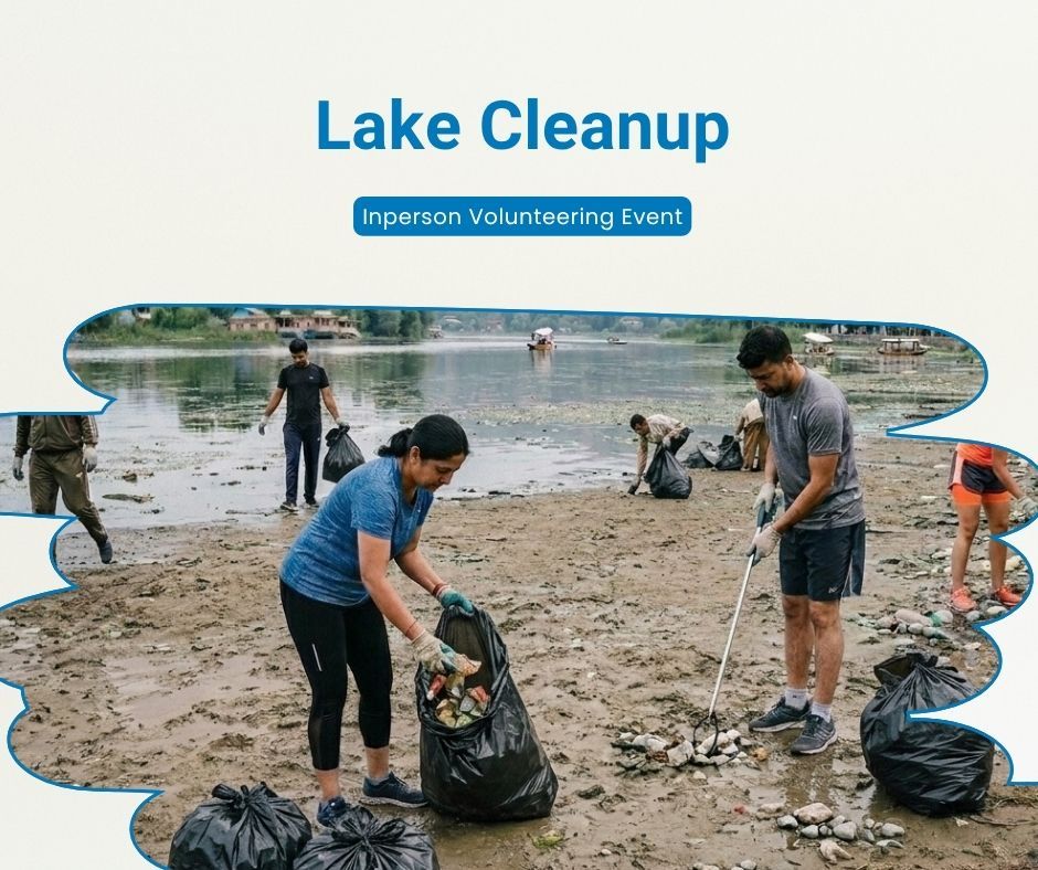 Lake Cleanup