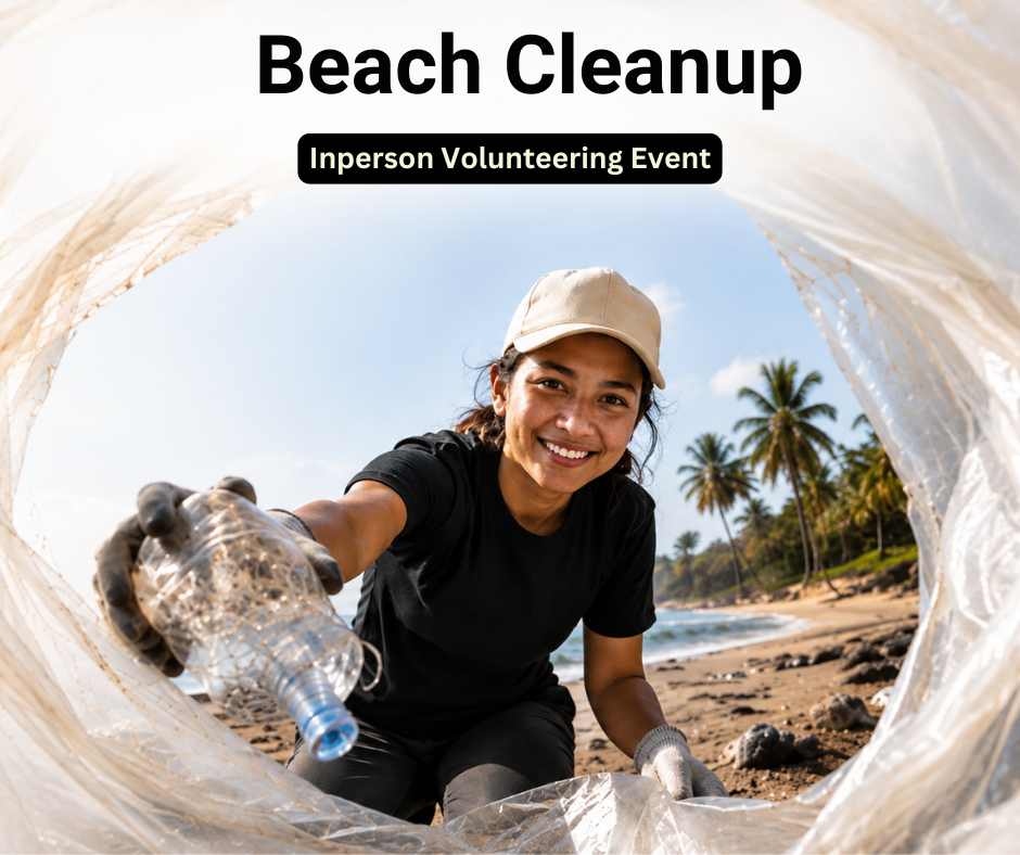 story writing virtual volunteering event