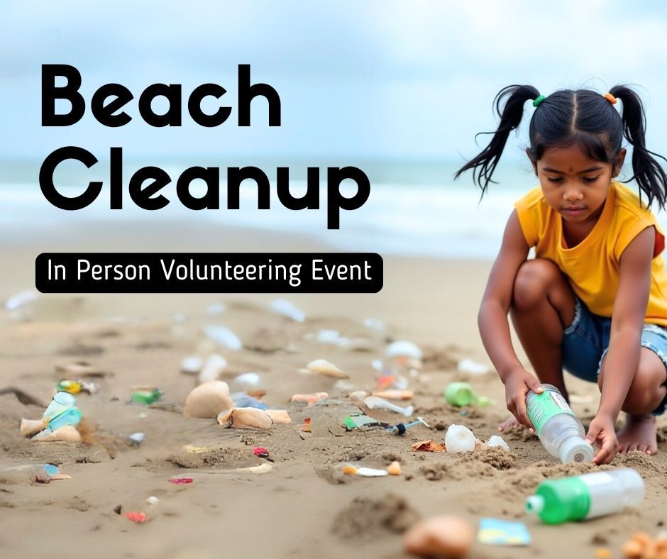 Beach Cleanup