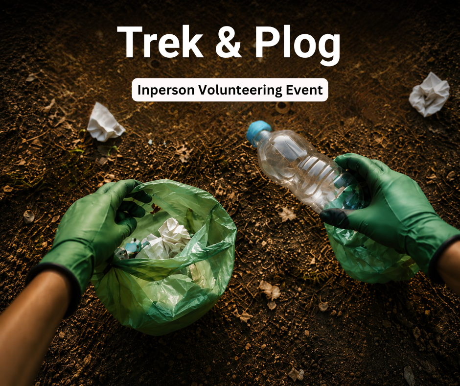 story writing virtual volunteering event