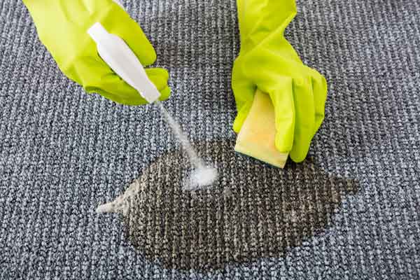 Rug Cleaners – Austin, TX – Deep Eddy Rug Cleaners