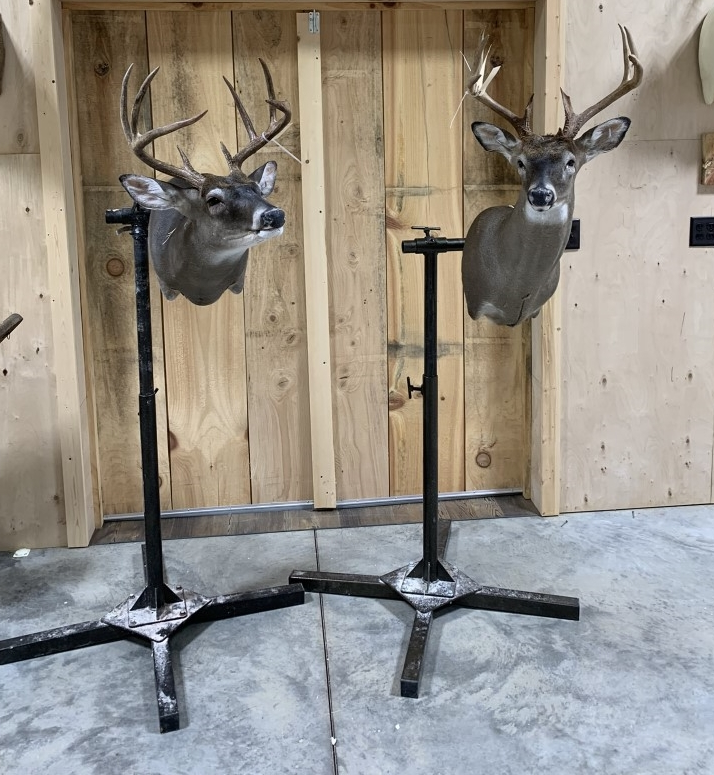 Two deer heads hanging on stands in front of a wooden door
