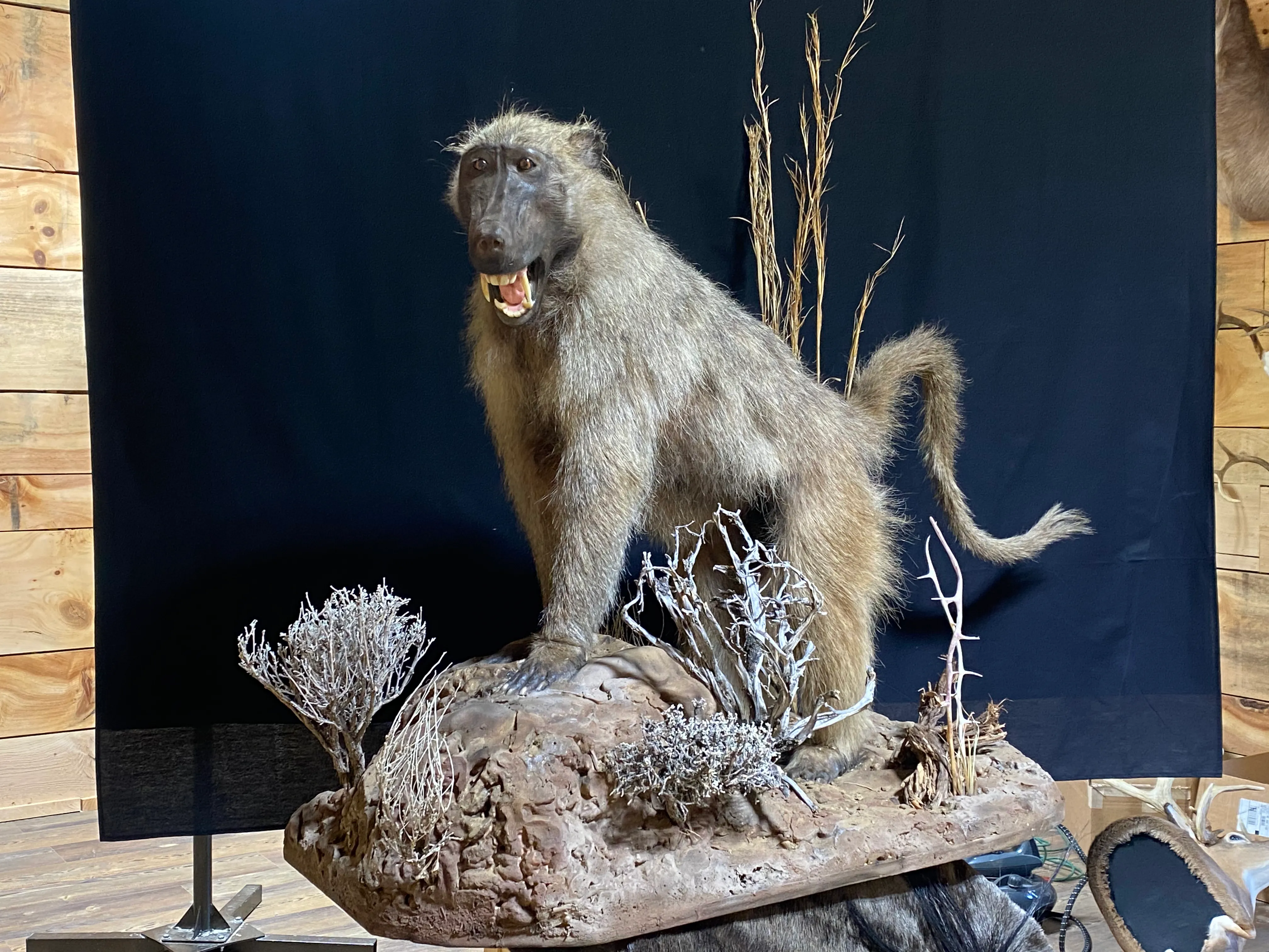 A stuffed baboon is sitting on top of a piece of wood.