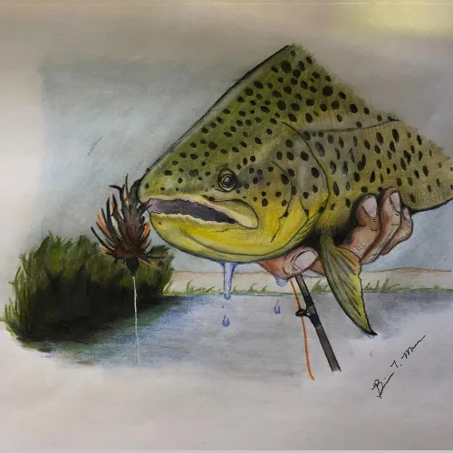 A drawing of a person holding a brown trout