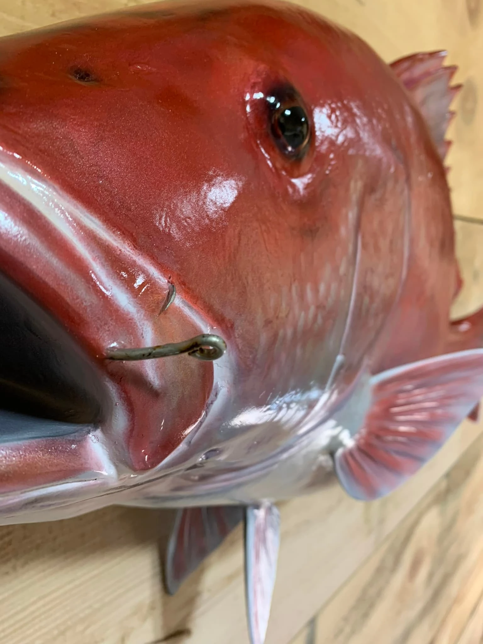 A red fish with a hook in its mouth is hanging on a wooden wall.