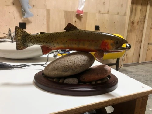A fish is sitting on top of a rock on a table