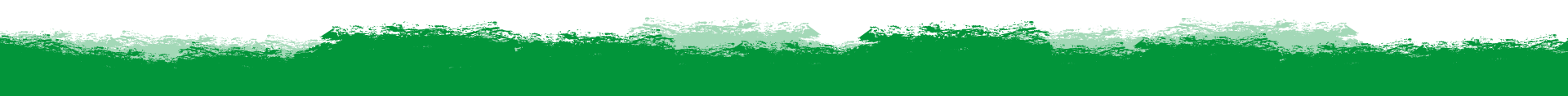 Green-striped banner header with no text
