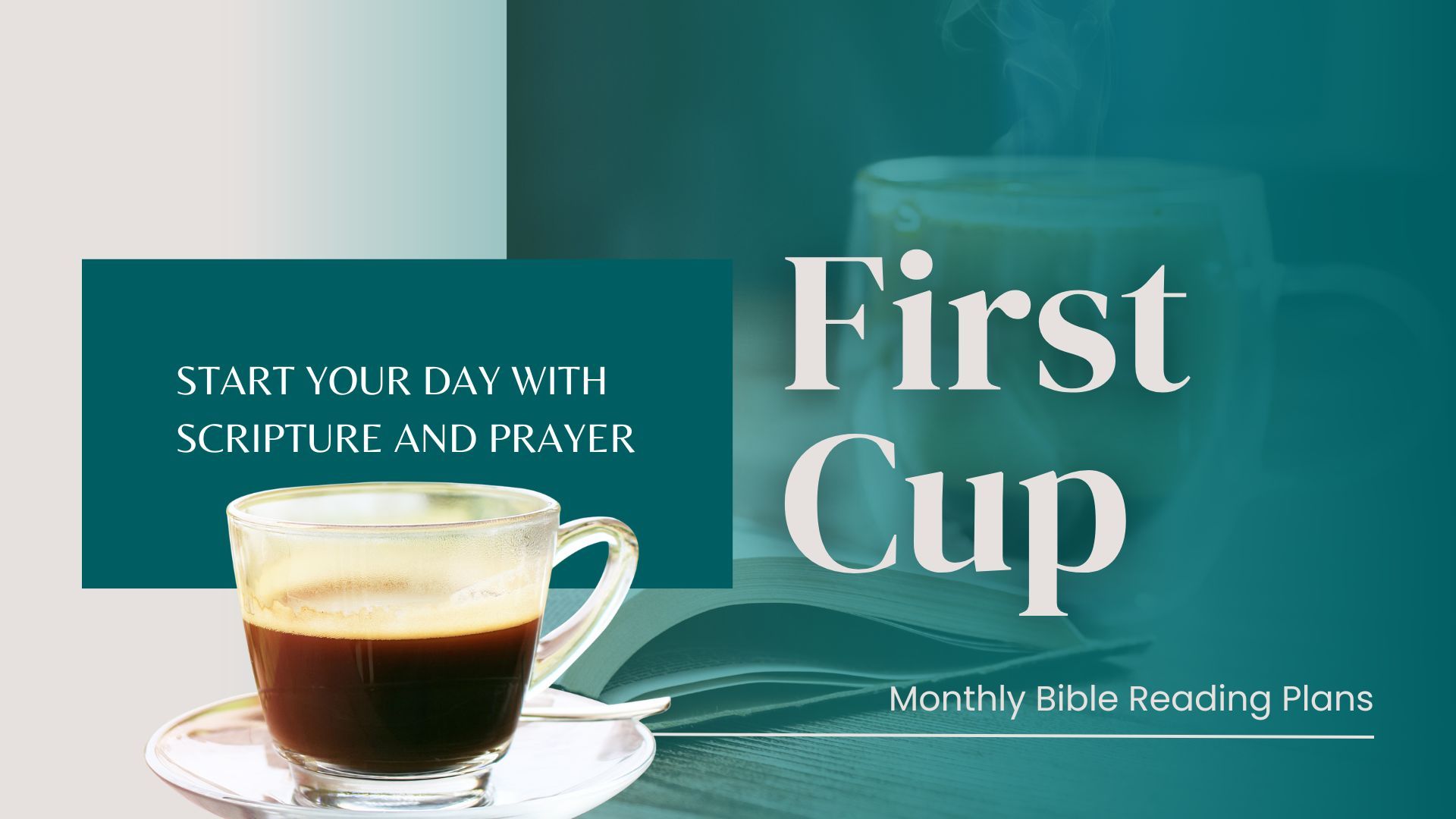 First Cup