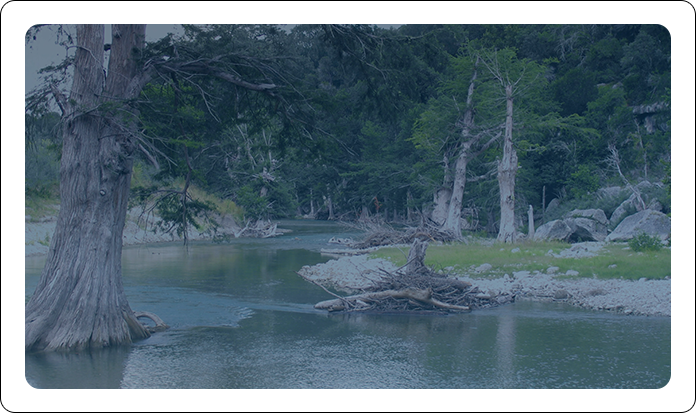 A calm river flows through a forest, with large trees growing at the water's edge and rocky banks in the shade.
