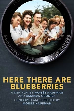 Here There Are Blueberries