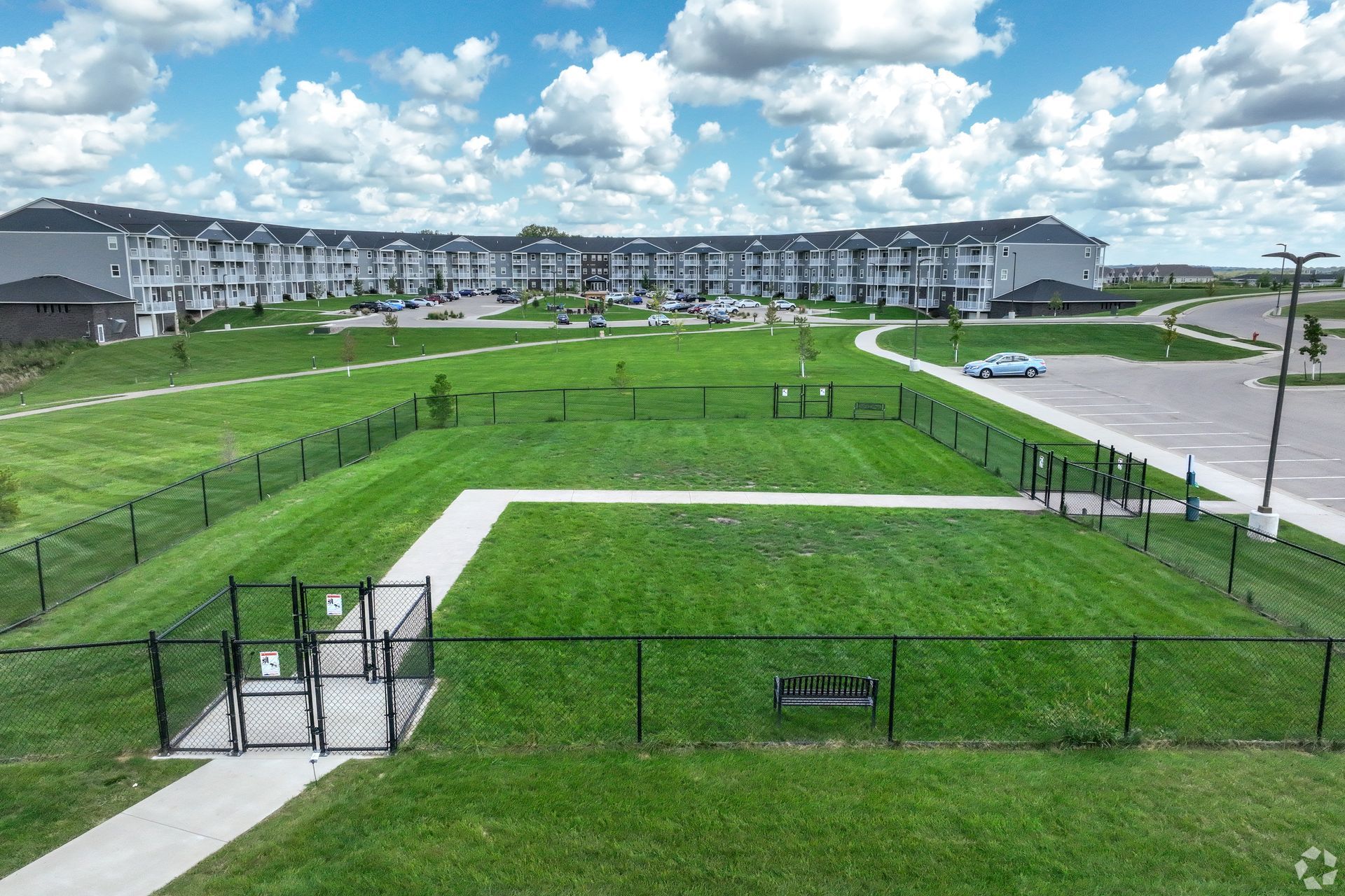 The Pines - outdoor dog park