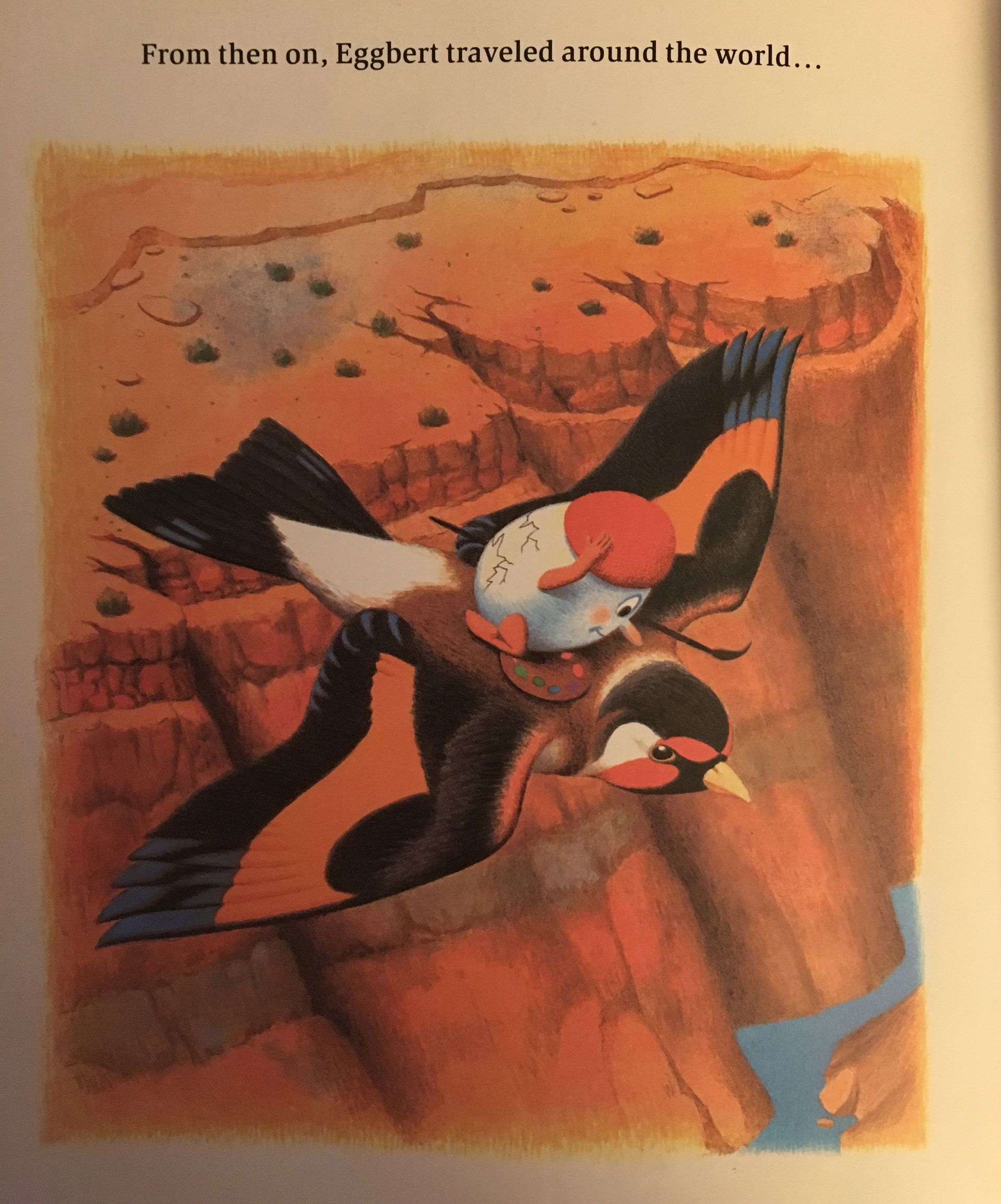A page from a book shows two birds flying over a canyon