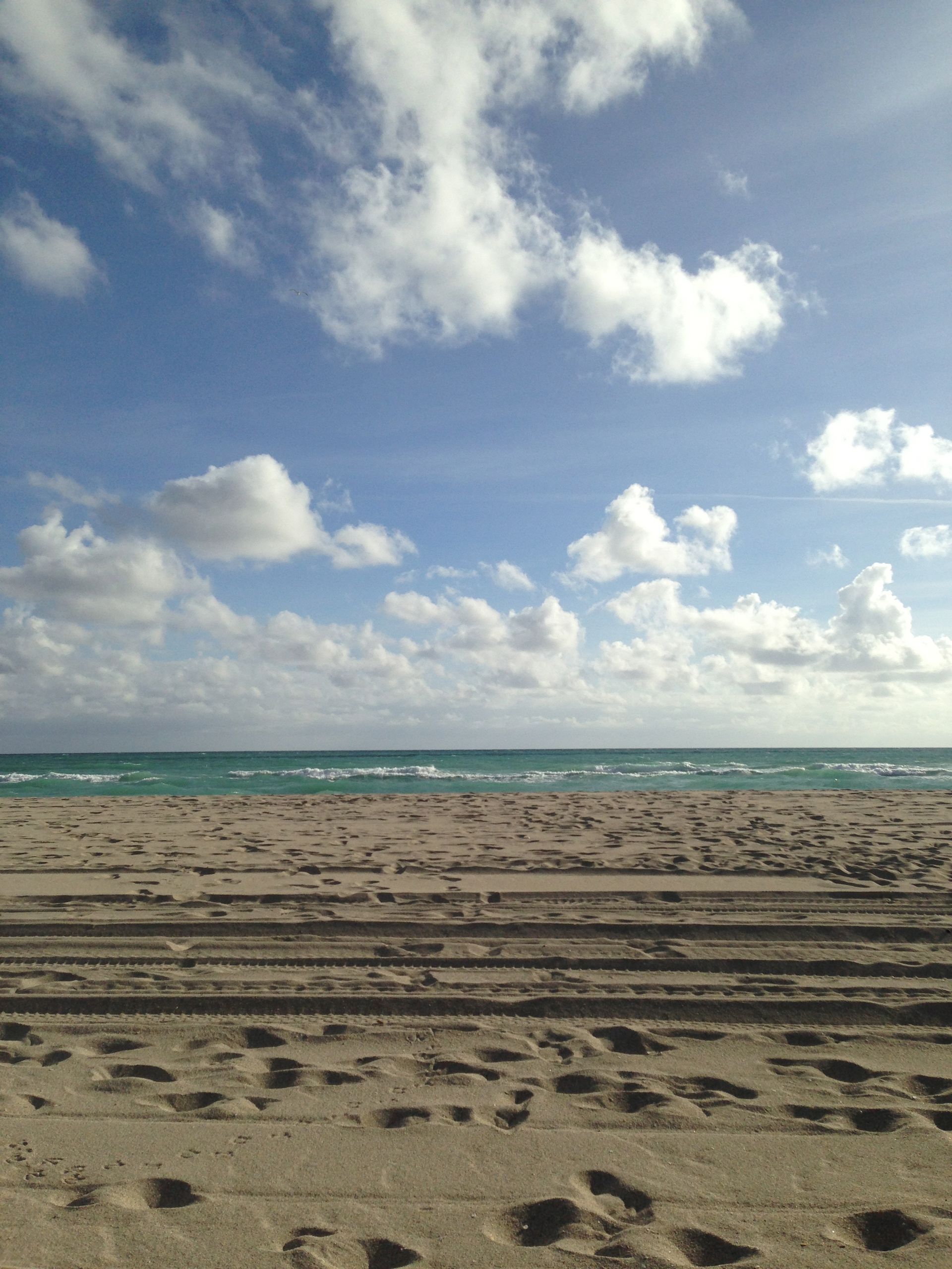 Ocean
