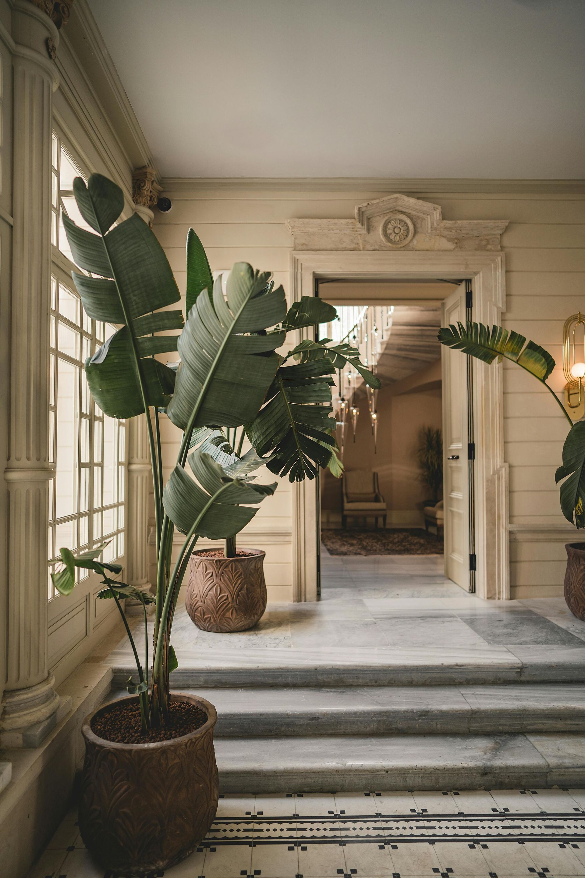 A potted plant is sitting in a hallway next to stairs.