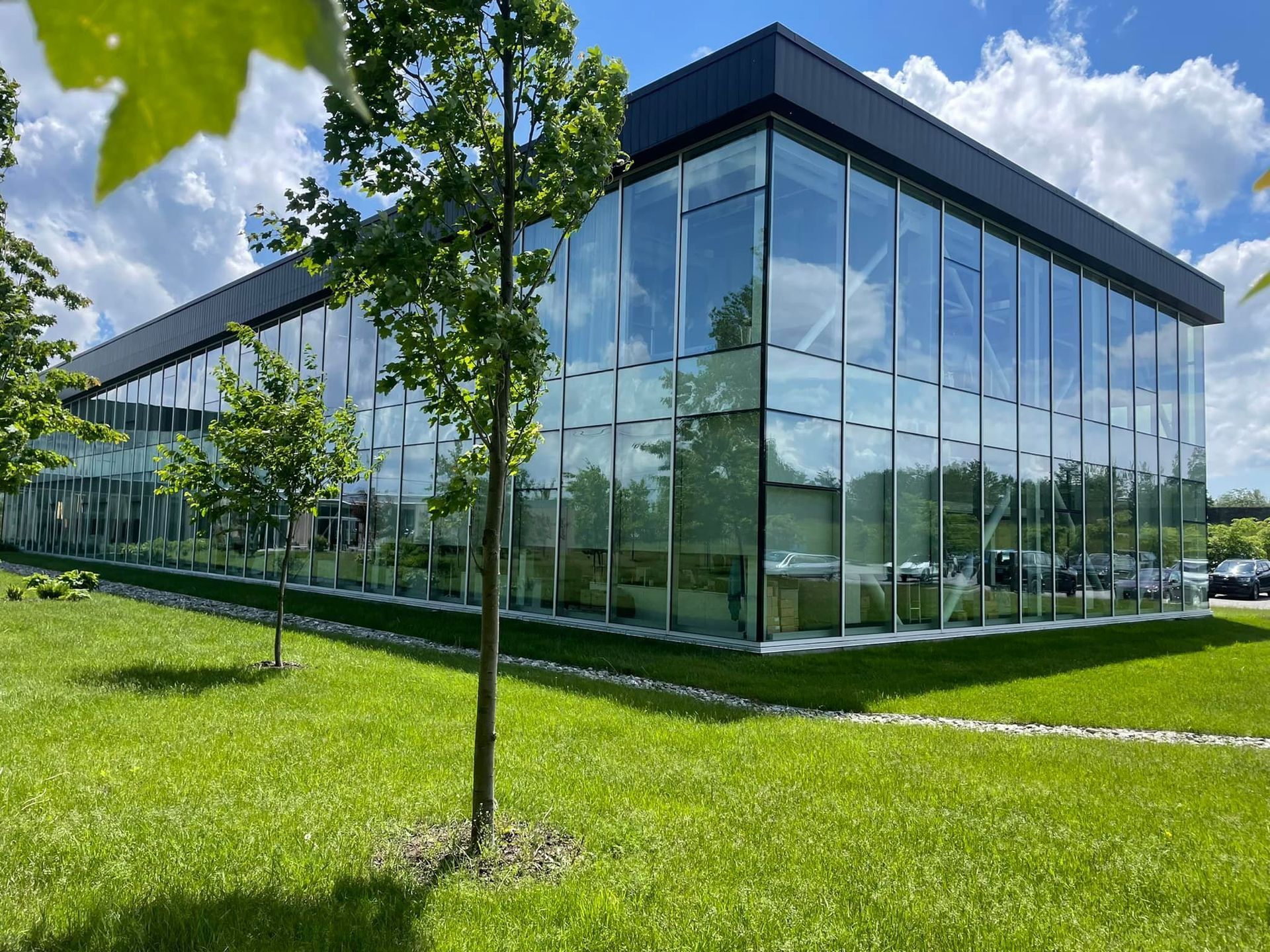 Lavage de vitres professionnel d'un immeuble de bureaux moderne avec fenêtres réfléchissantes et pelouse verte.