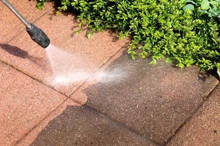 Power washing a wet brick patio near green shrubs
