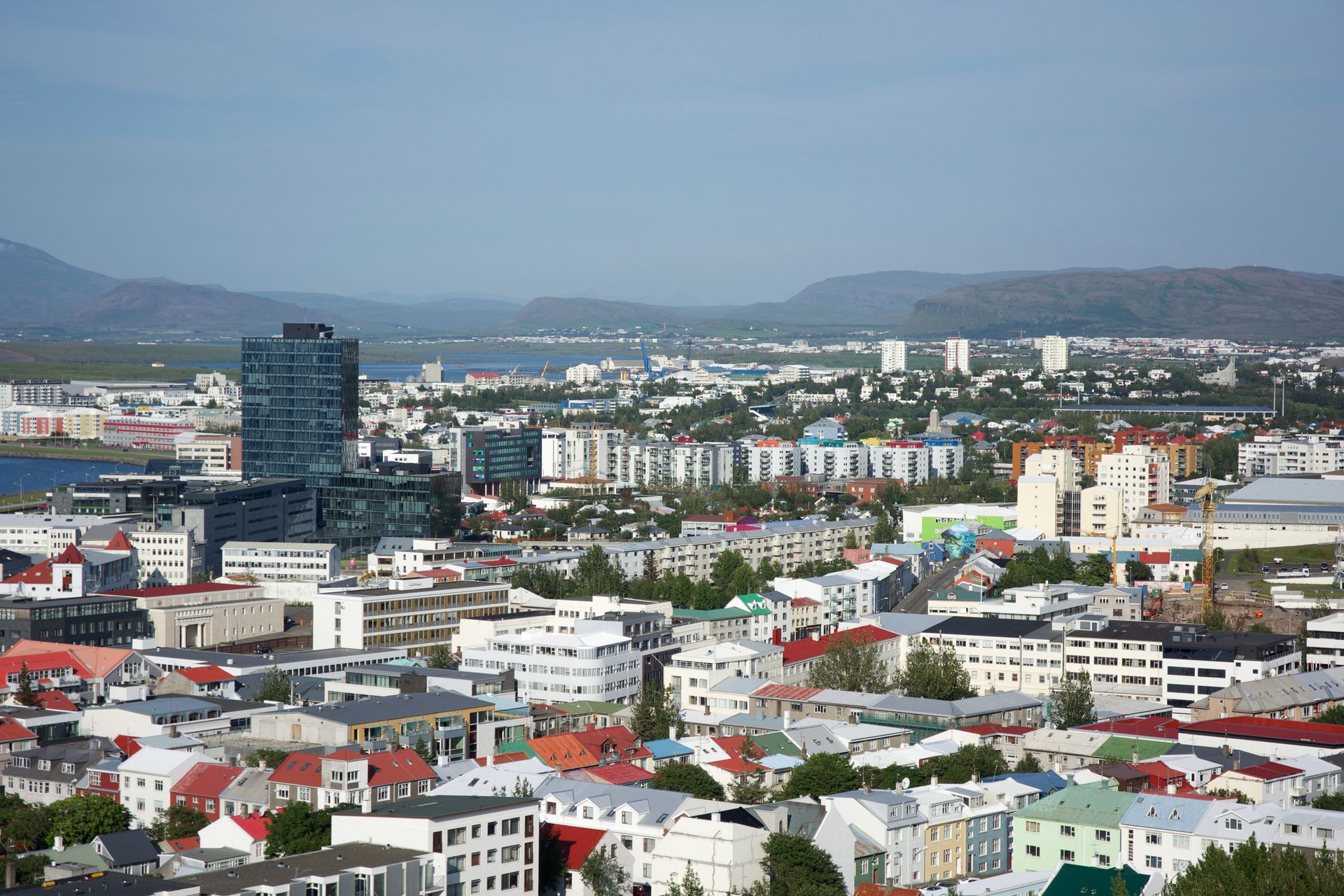 Fagmaður í mygluþrifi