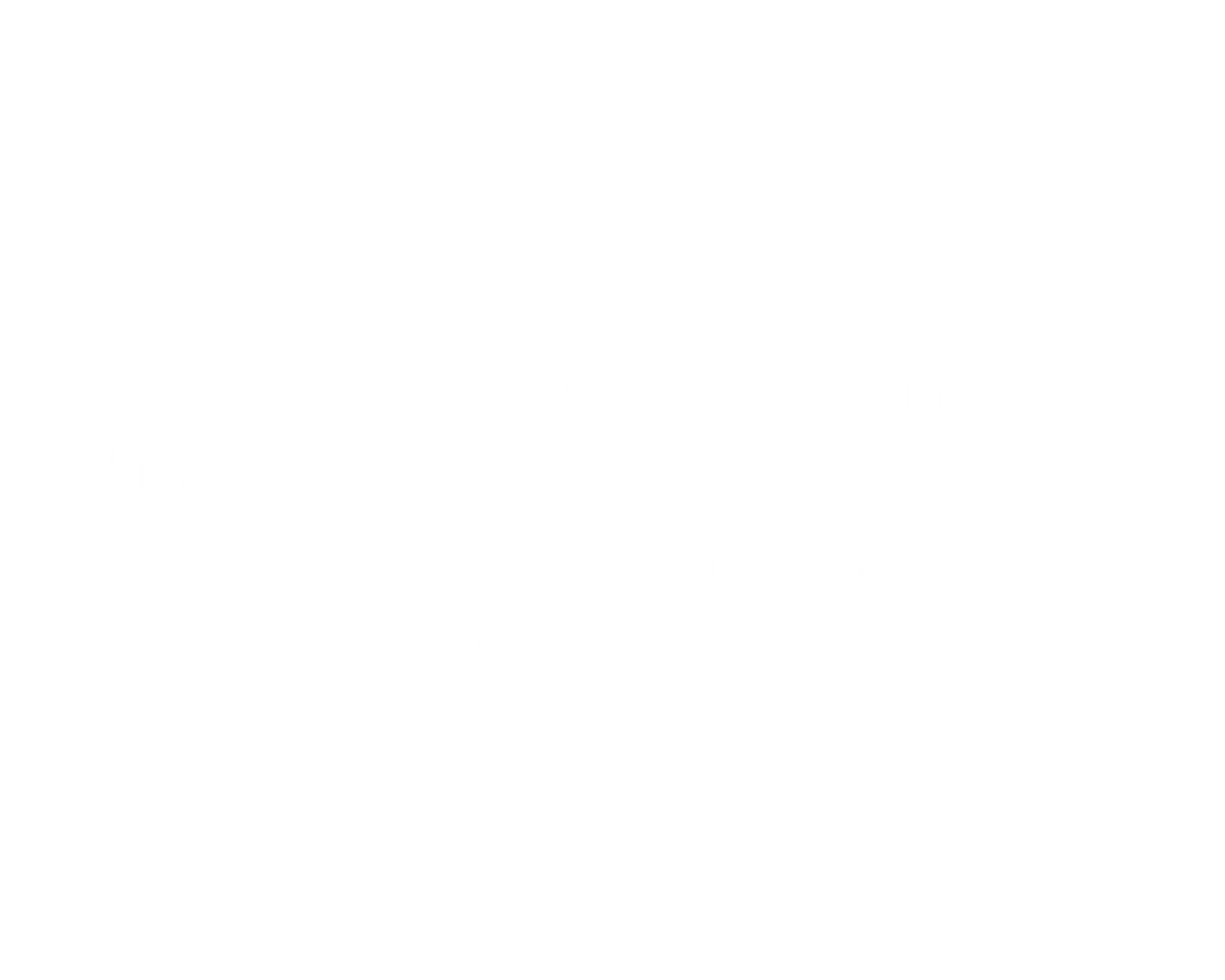 expertise logo