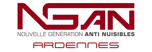 Un logo rouge et blanc pour nean sur fond blanc
