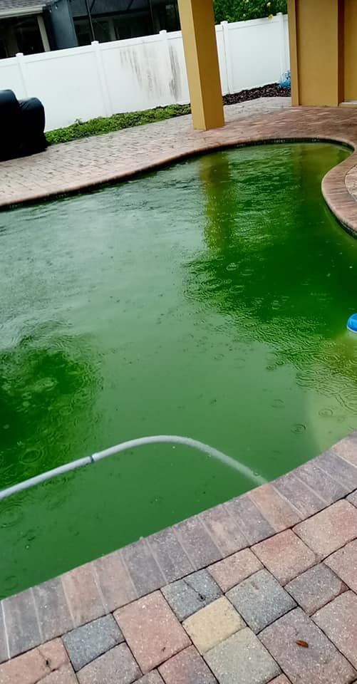 Green algae-filled pool with brick coping and surrounding patio. White fence and yellow column in the background.