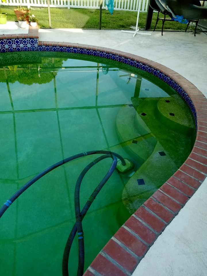 Green, algae-filled pool with brick coping. A pool cleaner hose is visible underwater.
